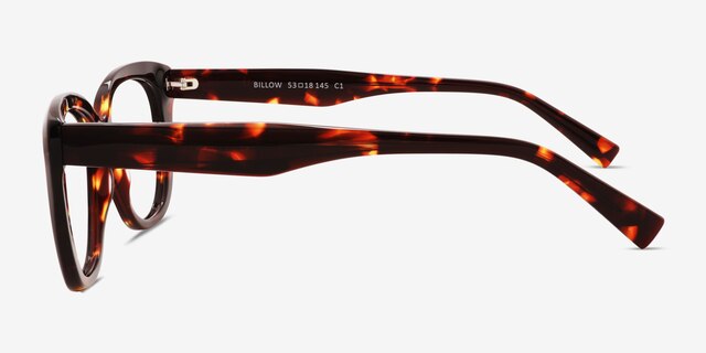 Billow Tortoise AcetateEyeglass Frames from EyeBuyDirect, Side View