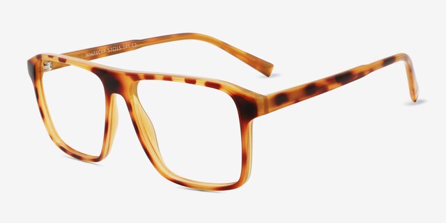 Whitecap Tortoise PlasticEyeglass Frames from EyeBuyDirect, Angle View