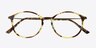 Doc Tortoise PlasticEyeglass Frames from EyeBuyDirect, Closed View