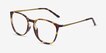 Naomi Tortoise Plastic, MetalEyeglass Frames from EyeBuyDirect, Angle View