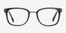 Audacity Dark Tortoise AcetateEyeglass Frames from EyeBuyDirect, Front View