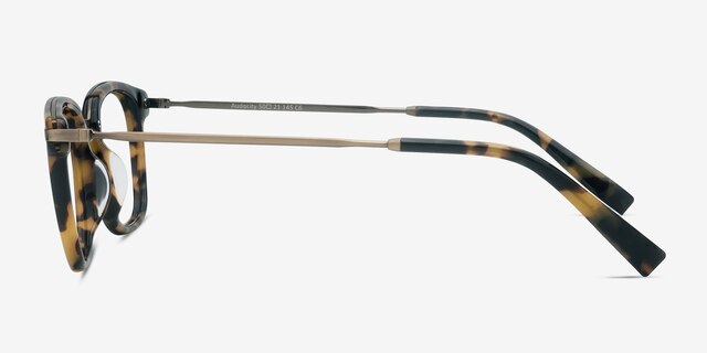 Audacity Tortoise AcetateEyeglass Frames from EyeBuyDirect, Side View