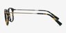 Audacity Tortoise AcetateEyeglass Frames from EyeBuyDirect, Side View