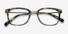 Audacity Tortoise AcetateEyeglass Frames from EyeBuyDirect, Closed View