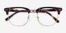 Borderline Tortoise Acetate-metalEyeglass Frames from EyeBuyDirect, Closed View