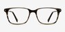 Motion Brown Striped AcetateEyeglass Frames from EyeBuyDirect, Front View