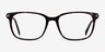 Motion Écailles Acetate-metalMontures de lunettes de vue d'EyeBuyDirect, Vue de Face