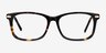 Phase Tortoise Acetate-metalEyeglass Frames from EyeBuyDirect, Front View