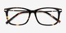 Phase Tortoise Acetate-metalEyeglass Frames from EyeBuyDirect, Closed View