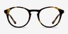 White Moon Tortoise AcetateEyeglass Frames from EyeBuyDirect, Front View