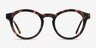 Twin Tortoise AcetateEyeglass Frames from EyeBuyDirect, Front View