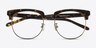 Skyscraper Tortoise AcetateEyeglass Frames from EyeBuyDirect, Closed View