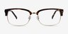 Wizard Tortoise Acetate-metalEyeglass Frames from EyeBuyDirect, Front View