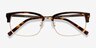 Wizard Tortoise Acetate-metalEyeglass Frames from EyeBuyDirect, Closed View