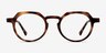 Phantasm Matte Tortoise AcetateEyeglass Frames from EyeBuyDirect, Front View