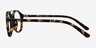Lola Tortoise MetalEyeglass Frames from EyeBuyDirect, Side View