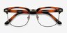 Coexist Tortoise Plastic-metalEyeglass Frames from EyeBuyDirect, Closed View