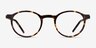 Anomaly Tortoise Acetate-metalEyeglass Frames from EyeBuyDirect, Front View