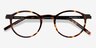 Anomaly Tortoise Acetate-metalEyeglass Frames from EyeBuyDirect, Closed View