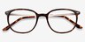 Eros Tortoise Acetate-metalEyeglass Frames from EyeBuyDirect, Closed View