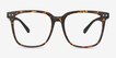 Piano Tortoise PlasticEyeglass Frames from EyeBuyDirect, Front View