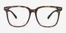 Piano Tortoise PlasticEyeglass Frames from EyeBuyDirect, Front View
