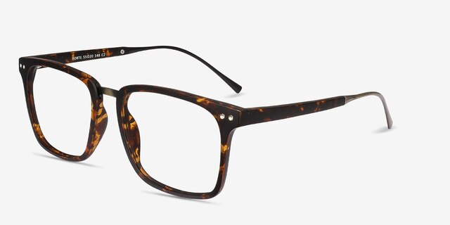 Forte Tortoise Plastic-metalEyeglass Frames from EyeBuyDirect, Angle View