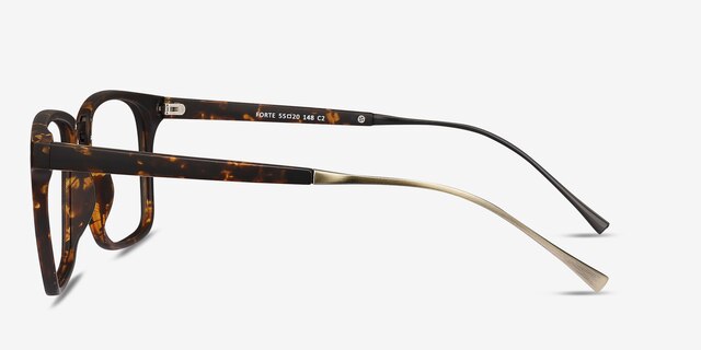 Forte Tortoise Plastic-metalEyeglass Frames from EyeBuyDirect, Side View