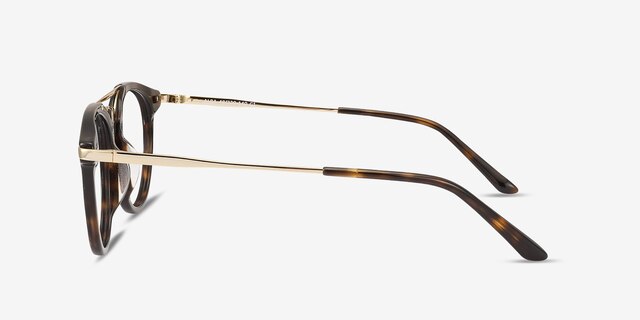 Alba Tortoise Acetate-metalEyeglass Frames from EyeBuyDirect, Side View