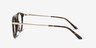 Alba Tortoise Acetate-metalEyeglass Frames from EyeBuyDirect, Side View
