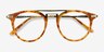 Alba Light Tortoise Acetate-metalEyeglass Frames from EyeBuyDirect, Closed View