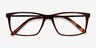 Marvel Tortoise Acetate-metalEyeglass Frames from EyeBuyDirect, Closed View