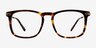 Glory Tortoise Acetate-metalEyeglass Frames from EyeBuyDirect, Front View