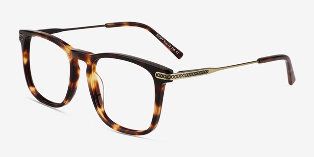 Glory Tortoise Acetate-metalEyeglass Frames from EyeBuyDirect, Angle View