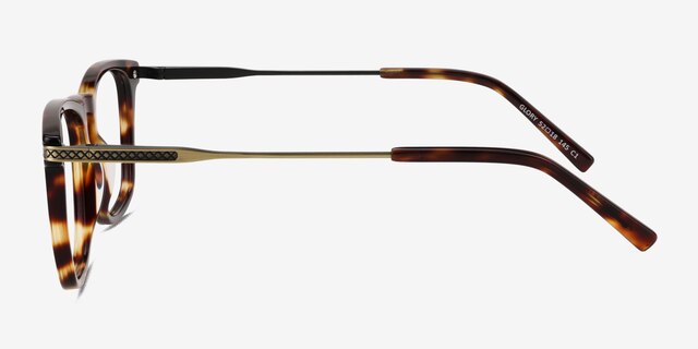 Glory Tortoise Acetate-metalEyeglass Frames from EyeBuyDirect, Side View