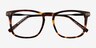Glory Tortoise Acetate-metalEyeglass Frames from EyeBuyDirect, Closed View