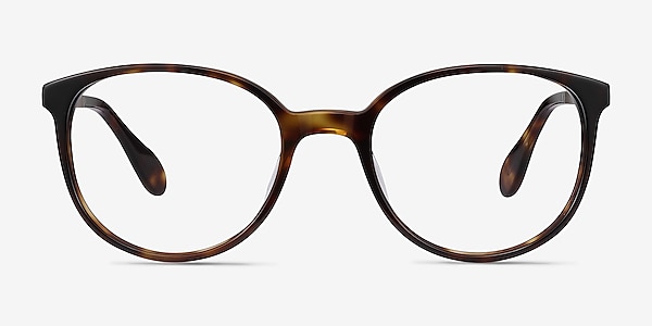Lucy Tortoise Acetate-metal Eyeglass Frames
