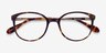 Lucy Tortoise Acetate-metalEyeglass Frames from EyeBuyDirect, Closed View
