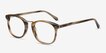 Era Brown Striped Acetate, MetalEyeglass Frames from EyeBuyDirect, Angle View