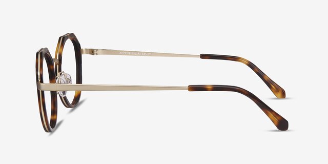 Accent Tortoise Acetate-metalEyeglass Frames from EyeBuyDirect, Side View