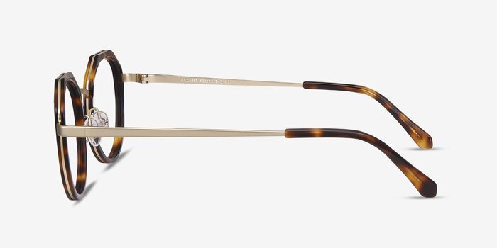 Accent Écailles Acetate-metal Montures de lunettes de vue d'EyeBuyDirect