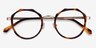Accent Tortoise Acetate-metalEyeglass Frames from EyeBuyDirect, Closed View