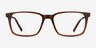 Stanza Brown Acetate-metalEyeglass Frames from EyeBuyDirect, Front View