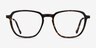 The Fan Tortoise Acetate-metalEyeglass Frames from EyeBuyDirect, Front View