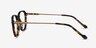 The Fan Tortoise Acetate-metalEyeglass Frames from EyeBuyDirect, Side View