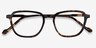 The Fan Tortoise Acetate-metalEyeglass Frames from EyeBuyDirect, Closed View