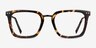 Poise Tortoise Acetate-metalEyeglass Frames from EyeBuyDirect, Front View