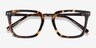 Poise Tortoise Acetate-metalEyeglass Frames from EyeBuyDirect, Closed View