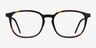 Esquire Tortoise Acetate-metalEyeglass Frames from EyeBuyDirect, Front View