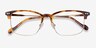 Explorer Tortoise Acetate-metalEyeglass Frames from EyeBuyDirect, Closed View